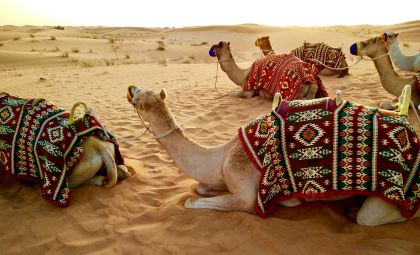 Dubai en Midden Oosten cruise overzicht